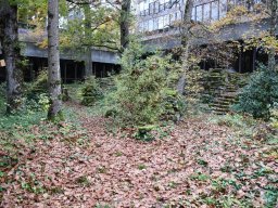 Peter Kunz - Innenhof mit Treppen durch Steingeroell 1975